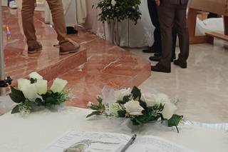 Vivaio Cracchiolo - 6