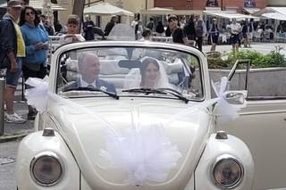 Opposti Perfetti - Maggiolini per Eventi - 18
