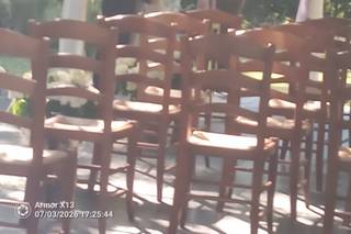 Ristorante Trattoria Al Bosco - 7
