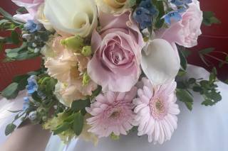 Fiorin Fiorello - 5