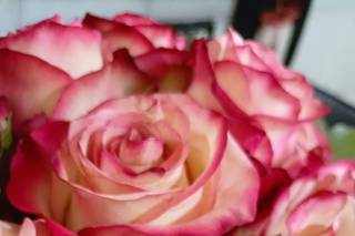 Il Bouquet - 8