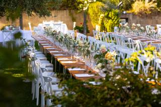 Regini Fiori e Piante - 24