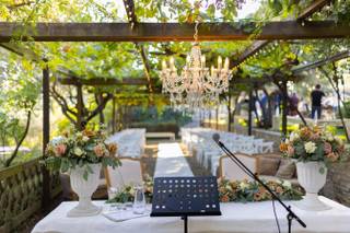 Regini Fiori e Piante - 25