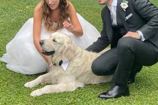 Modesto Bertotto - 19