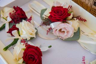 Abramo Photography - 5