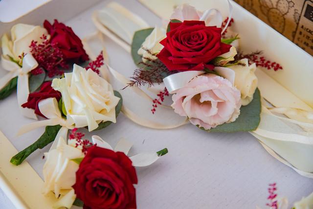 Abramo Photography - 1