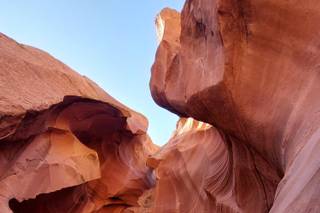 Zebrasoma Viaggi - 6