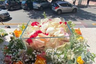 Fiore d'Arancio - 10