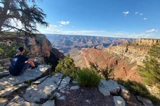 Zebrasoma Viaggi - 8