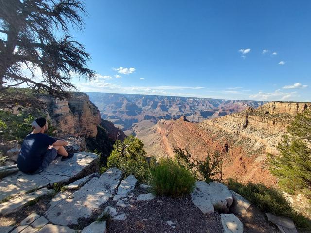 Zebrasoma Viaggi - 1