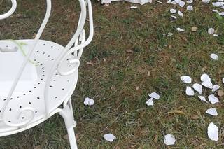 I Fiori di Ornella - 27