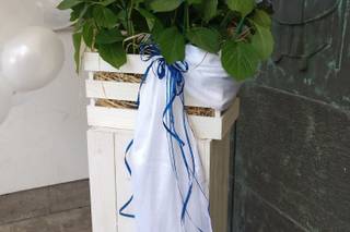 Fiorin Fiorello - 23