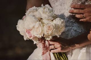 Vivaio La Camelia - 18