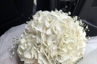 Il Chiosco Fiorito - 14