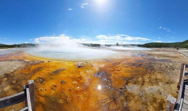 Zebrasoma Viaggi - 4