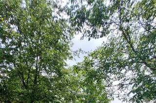 Cascina Galbusera Nera - Rocca Ricevimenti - 8