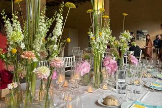 Villa Sommi Picenardi - 12