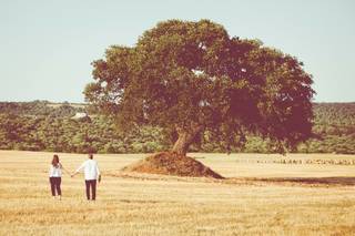 Pappone Photo - 13