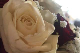 The Flower di Scanu Veronica - 24