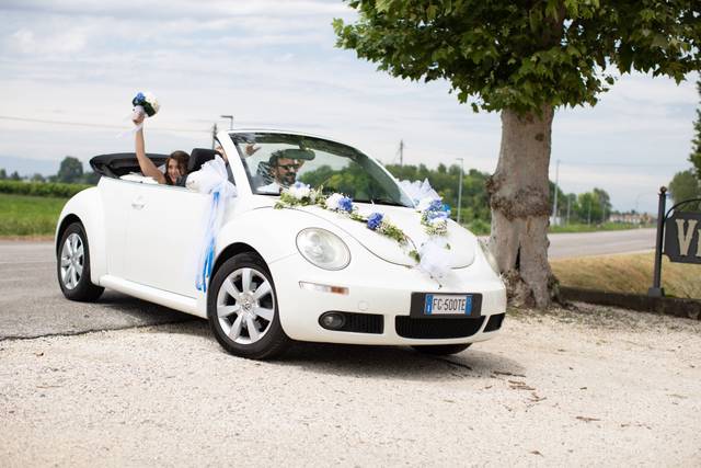 Ivan New Beetle 5