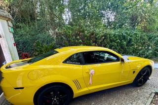 Transformers Bumblebee & American Cars - 11