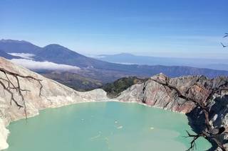 Banfield Travel - 13