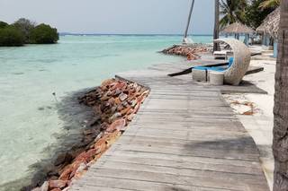 Banfield Travel - 14