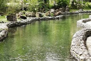 Banfield Travel - 15