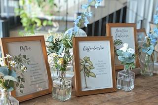 Piante Fiori &... Dintorni - 5