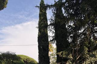 Vecchio Borgo - 19