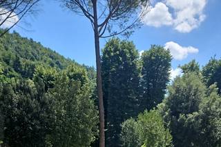 Villa Guicciardini - 17