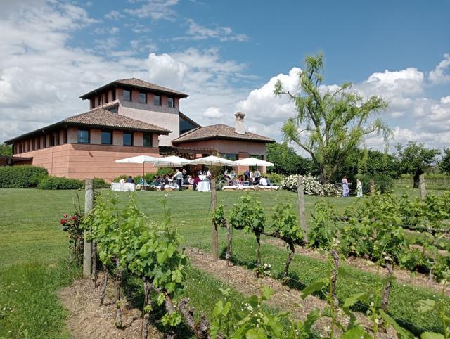 Castello del Vino - 4