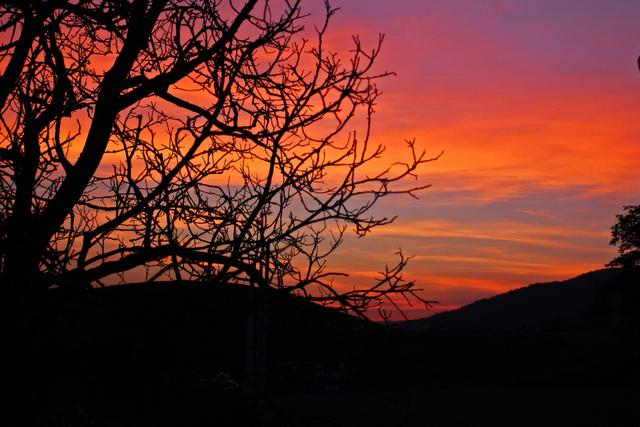 Agriturismo Il Melo Rosso - 1