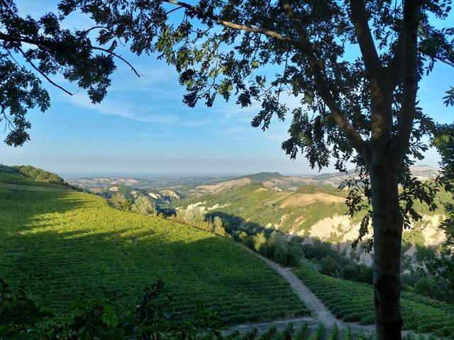 Borgo Fregnano - 3