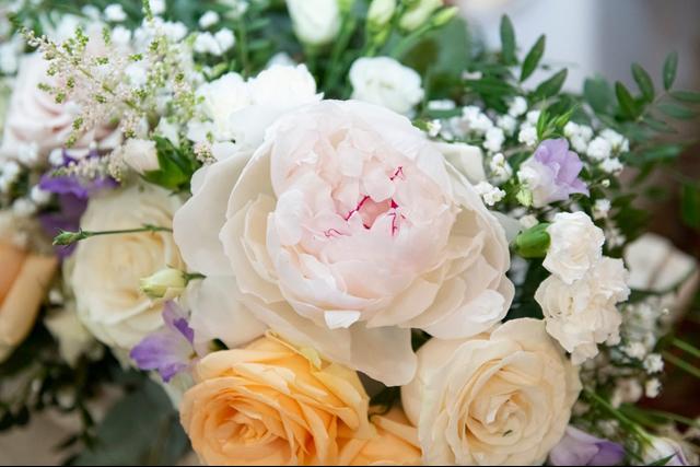 Paperine Creations - 1