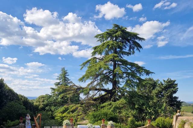 Tenuta Bichi Borghesi 2