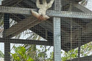 Barbaccia Viaggi e Turismo - 6