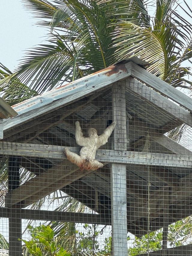 Barbaccia Viaggi e Turismo - 2