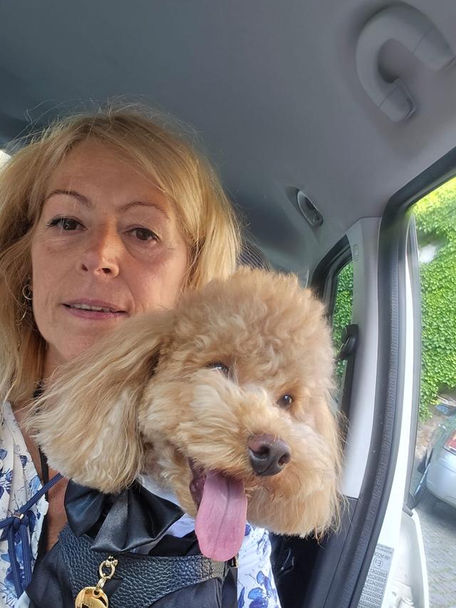 Le Cat e Dog Sitter - Wedding - 2