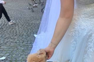Le Cat e Dog Sitter - Wedding - 8