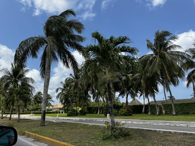 Barbaccia Viaggi e Turismo - 4