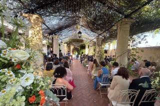 Maiolgae Eventi - 12