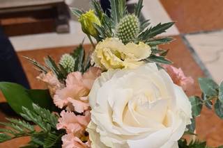 Fiori di Pepe - 12