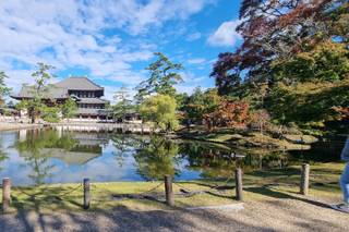 Cribor Travel Agency - 14