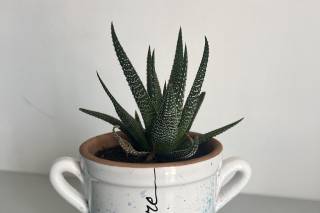 BiancaLuna Ceramiche - 13