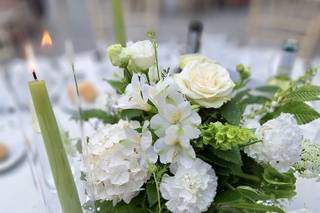 Lathyrus Laboratorio Floreale - 6