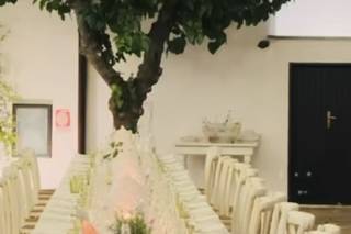 Olimpia Veronico Floral Designer - 10