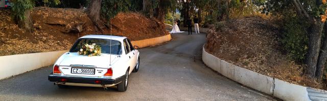 Bartuca Motors Group - 3