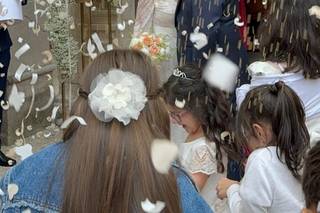 Florevent - 7