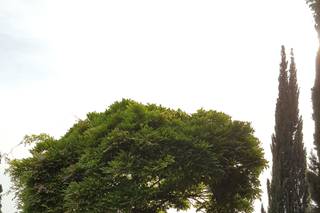 Villa La Piccioncina - 11